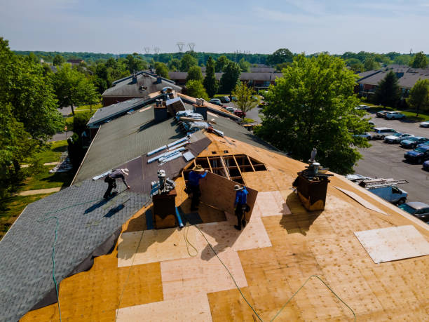 Trusted Roof Replacement service in Elk River, MN - Brentwood Metal Roofing